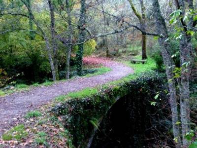 Sierra de Francia [Fiesta de la Almudena] senderismo doñana viajes culturales desde madrid viaje or